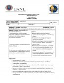 Ingles act de desempeño