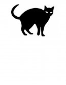 El gato negro Ensayo de Angélica Bocanegra Hernández