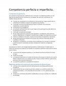 Competencia perfecta e imperfecta. Reglas que resultan de su evaluación como prototipo de eficiencia social