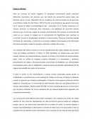 Marco teorico estres