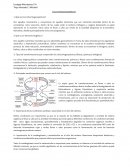 Ciclos biogeoquimicos