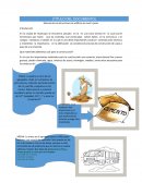 Manual de construcciones de edificio de nivel 5 pisos