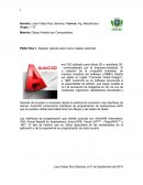 PRACTICA 1. Realizar reporte sobre como instalar AutoCAD