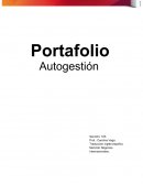 Portafolio