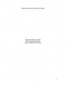 Creación de una agencia de viajes