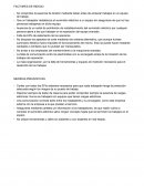 Seguridad en el trabajo. Factores y medidas preventivas