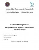 Ensayo orientacion alimentacia