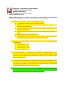 En Equipos de Trabajo se pide resolver de manera ordenada los diez problemas planteados sobre Distribución Normal para Variables Continuas