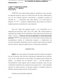 APELACION. Página 1