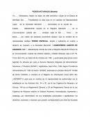 PODER NOTARIADO (Modelo)