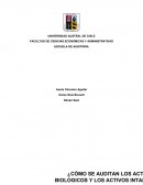 Activos biológicos e intangibles