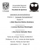 Lenguaje termodinámico