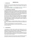 Lampara de lava En esta experiencia hicimos una lámpara de lava es parecida a la lámpara de lava que se compra, su efecto es relajante es muy curioso.