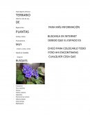 Lista de Utiles Escolares