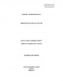 Comite de Convivencia