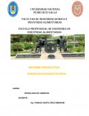 ELABORACIÓN DE NUGGETS DE PAVITA