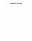 UNIVERSIDAD COOPERATIVA DE COLOMBIA SEDE MONTERIA PROGRAMA DE CONTADURIA PÚBLICA