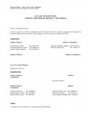 Acta de Constitución del comité paritario de higiene y seguridad