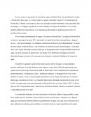 Seuia en Puerto Rico