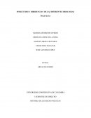 SIMILITUDES Y DIRERENCIAS DE LAS DIFERENTES IDEOLOGIAS POLITICAS