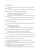 Realismo Crítico (Ideas Principales)