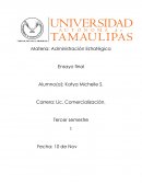 Ensayo final de admon