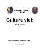 Cultura vial español 2
