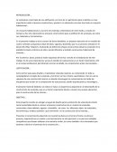 La vivienda es el principio de una edificación y el inicio de un patrimonio para la familia