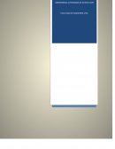 Ensayo de administracion de proyectos