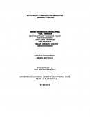 Actividad - Trabajo colaborativo momento inicial