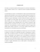 Sistemas de Distribución de Energía y Maquinas Eléctricas
