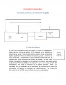 Quimica 2 actividad integradora etapa 1 El ciclo del carbono