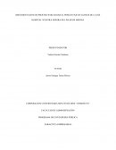 IMPLEMENTACION DE PROCESO PARA BAJAR EL PORCENTAJE DE GLOSAS DE LA ESE HOSPITAL NUESTRA SEÑORA DEL PILAR DE MEDINA