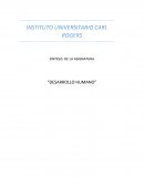 Síntesis de desarrolo