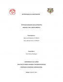 Como se da la Elaboración de etanol a partir de cascara de banano y almidón de yuca