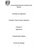 Algoritmos. Programación básica