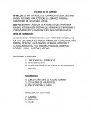 ESCUELA RIO DE JANEIRO