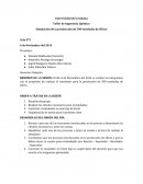 Acta de reunión: Desarrollo de simulador en Excel para la producción de silicio