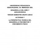 Desarrollo teoria d epiaget