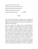 Ensayo de seguridad ocupacional