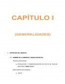 PLAN DE NEGOCIO “TROUT S.A.C.”