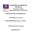 Platano, setas, clavel