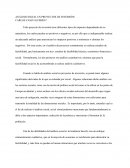 ANÁLISIS SOCIAL EN PROYECTOS DE INVERSIÓN