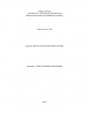 Organizacion y Staff. Principales características que debe tener un líder en la organización