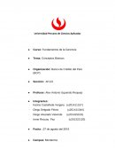 El tema que nos toca presentar es de conceptos básicos (capítulo 1), se explicará los conceptos a detalle en paralelo con la Entidad escogida