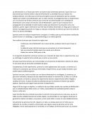 Ensayo- Mister Size Me