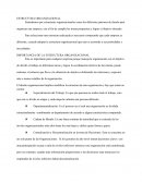 IMPORTANCIA DE LA ESTRUCTURA ORGANIZACIONAL