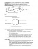 Inteligencia Artificial
