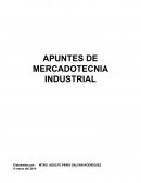 Apuntes de Mercadotecnia Industrial