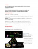 ECONOMIA.Cuentas contables